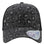 Black Leopard/ Black