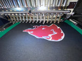 Gainesviille Grizzle Applique Hoodie