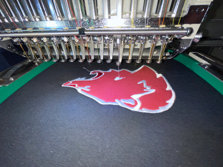 Gainesviille Grizzle Applique Hoodie