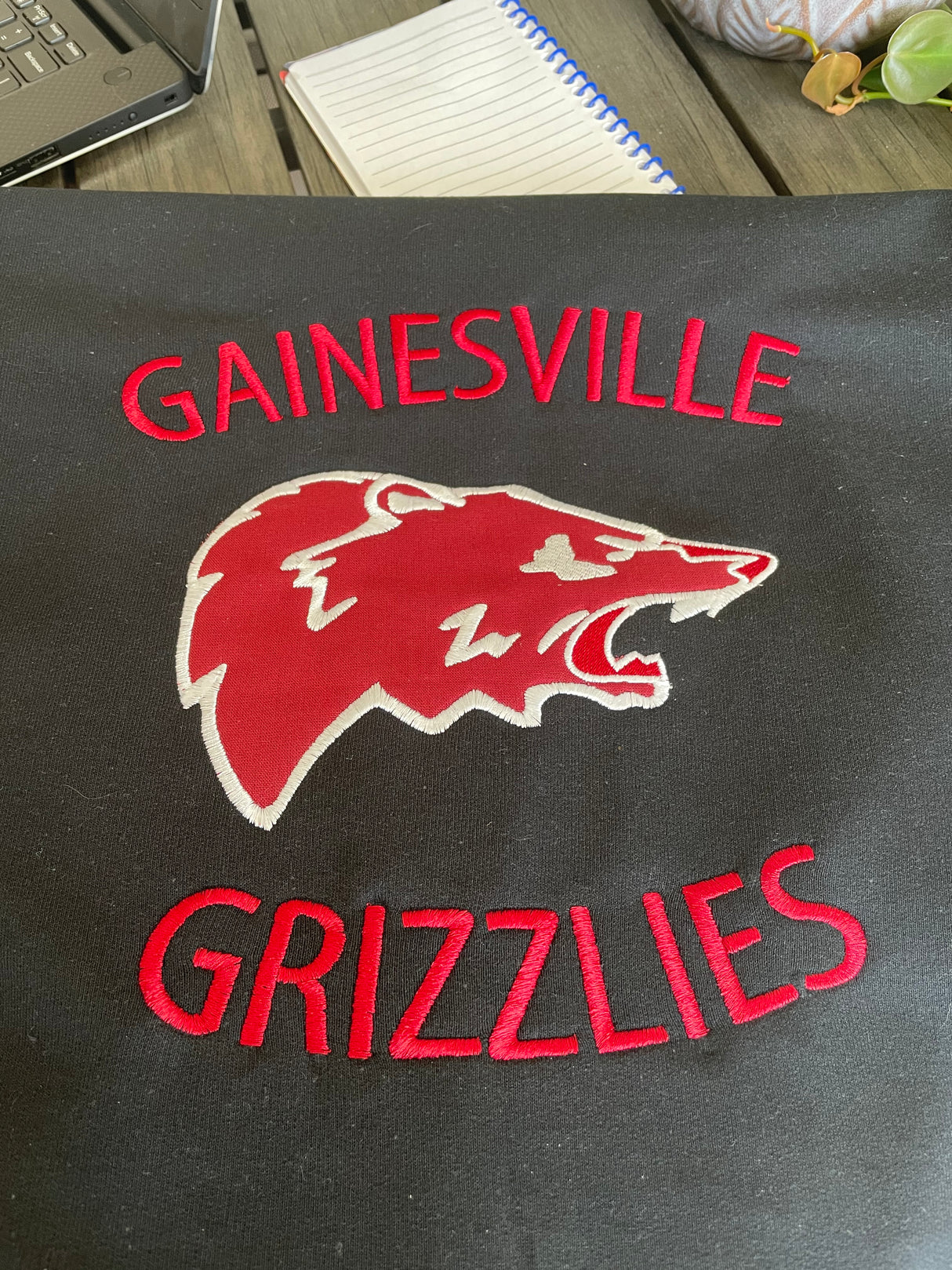 Gainesviille Grizzle Applique Hoodie