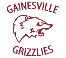 Gainesviille Grizzle Applique Hoodie