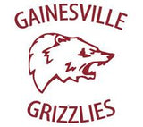 Gainesviille Grizzle Applique Hoodie